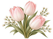 Hoa tulip trang trí